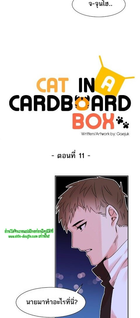 Cat in a Cardboard Box EP 11